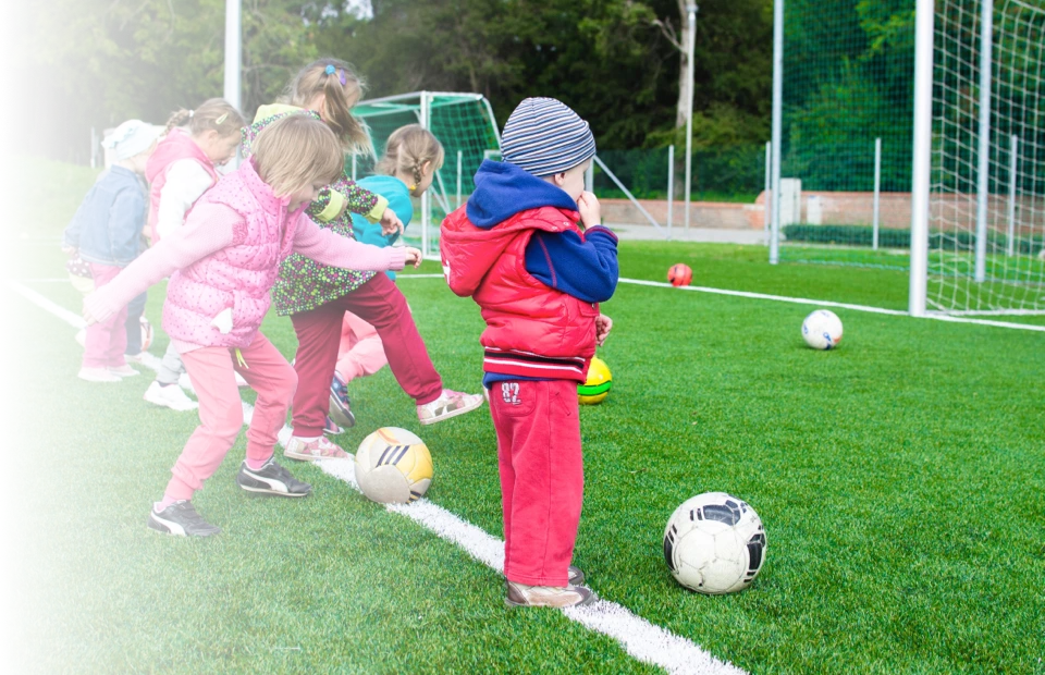 Schools & Training
